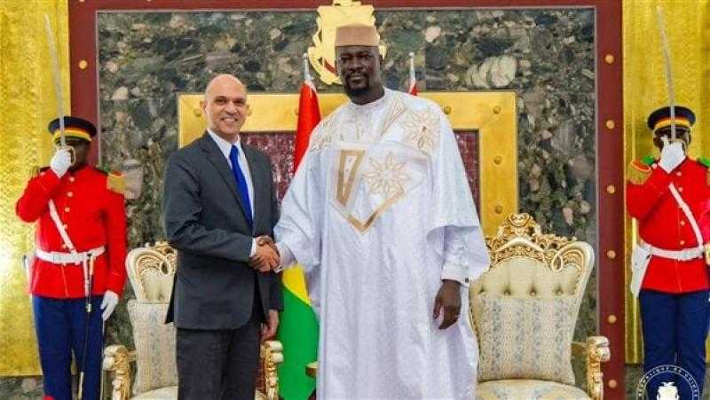 السفير المصري في كوناكري يقدم أوراق اعتماده لرئيس جمهورية غينيا