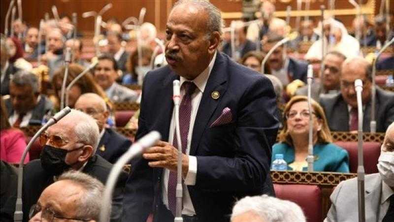 برلماني: حديث الرئيس السيسي بذكرى انتصارات أكتوبر يؤكد قوة إرادة المصريين أمام التحديات